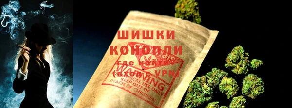ПСИЛОЦИБИНОВЫЕ ГРИБЫ Козловка