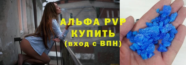 ПСИЛОЦИБИНОВЫЕ ГРИБЫ Козловка
