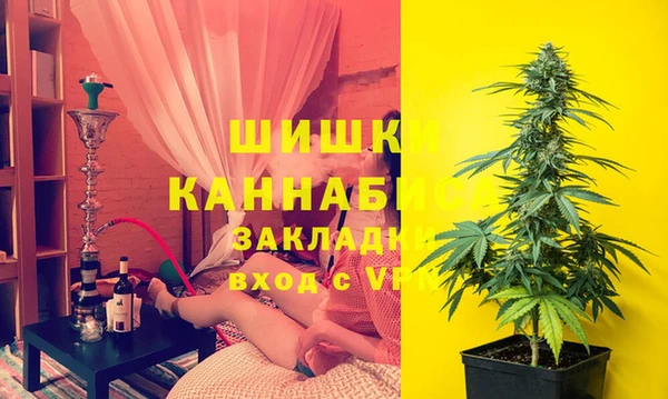 spice Козельск