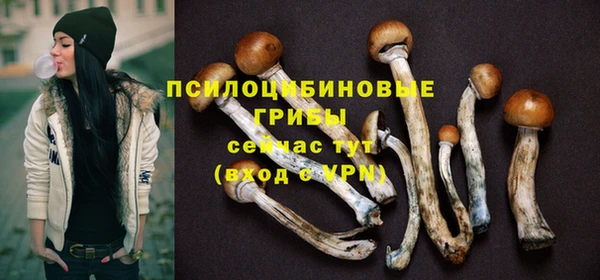ПСИЛОЦИБИНОВЫЕ ГРИБЫ Козловка