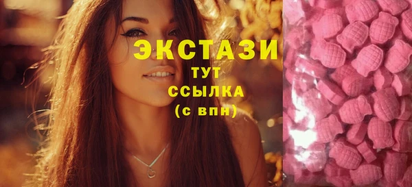 ПСИЛОЦИБИНОВЫЕ ГРИБЫ Козловка
