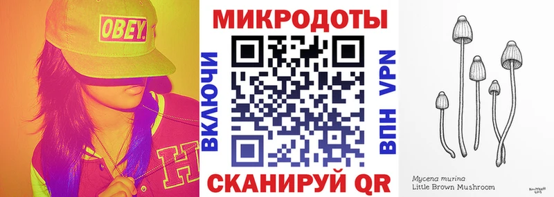 kraken рабочий сайт купить закладку Светлогорск Галлюциногенные грибы Magic Shrooms